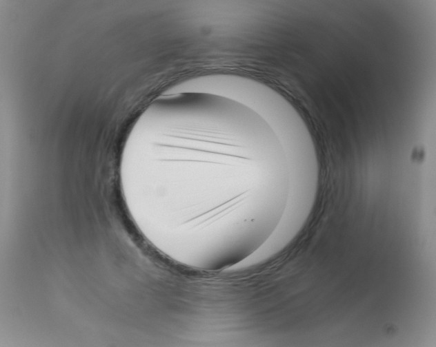 X0000113150593200910161222