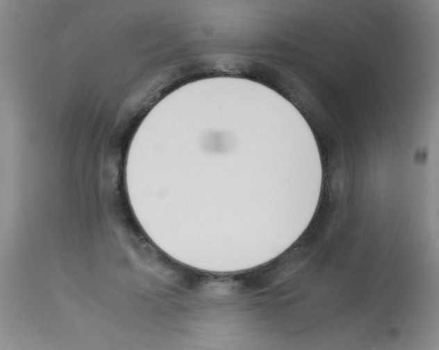 X0000113150595200910161222