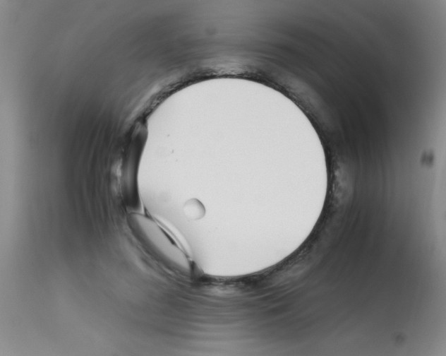 X0000113150596200910161222