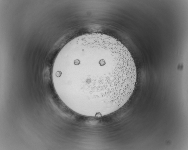 X0000113150598200910161222