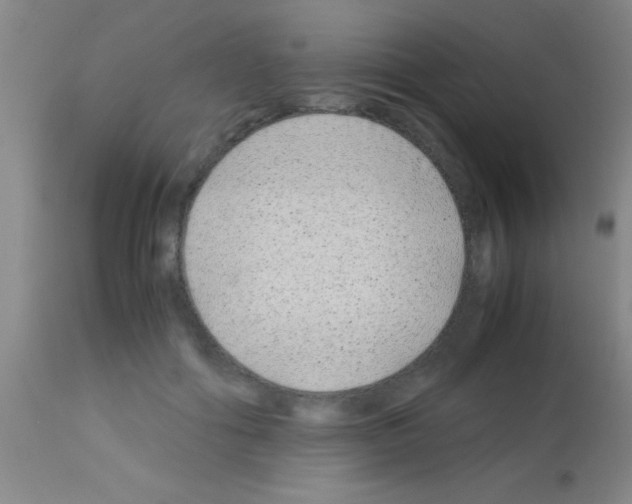 X0000113150602200910161222