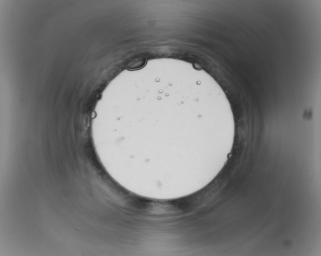 X0000113150605200910161222