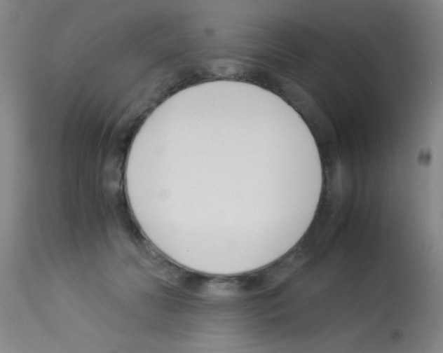 X0000113150606200910161222