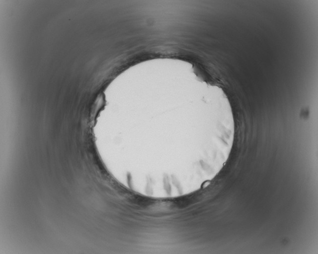 X0000113150609200910161222