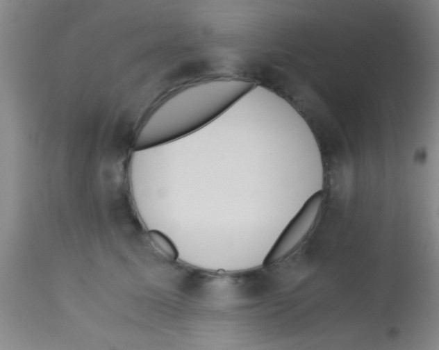 X0000113150611200910161222