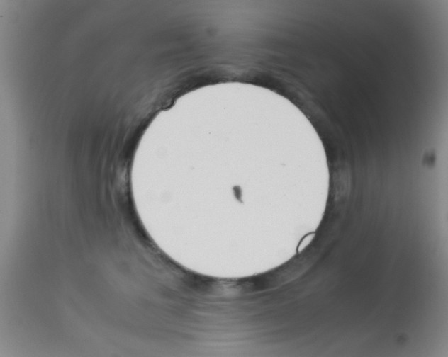 X0000113150613200910161222