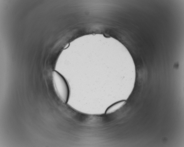 X0000113150617200910161222