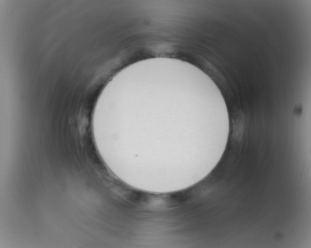 X0000113150618200910161222