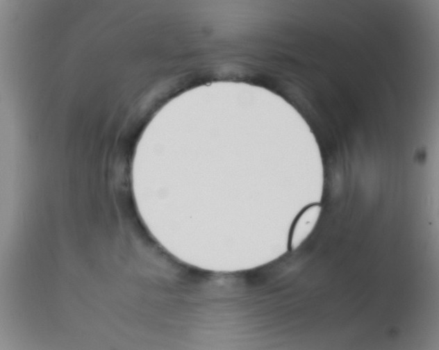 X0000113150619200910161222