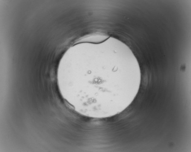 X0000113150620200910161222