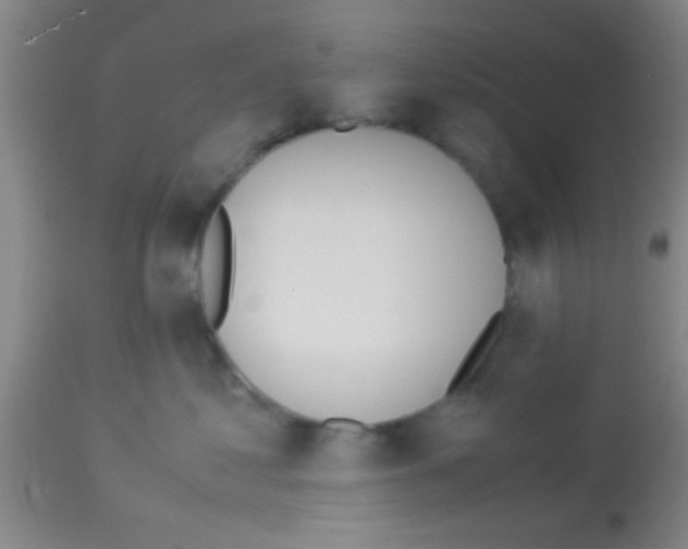 X0000113150621200910161222