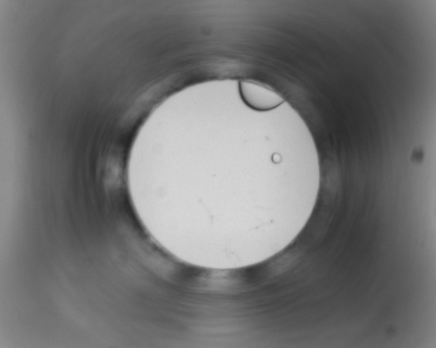 X0000113150622200910161222