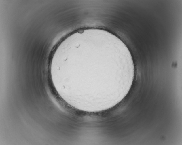 X0000113150630200910161221