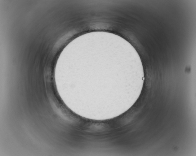 X0000113150631200910161221