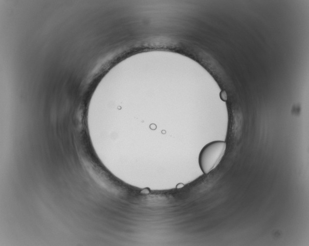 X0000113150636200910161221