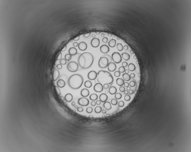 X0000113150638200910161221