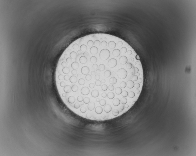 X0000113150639200910161221