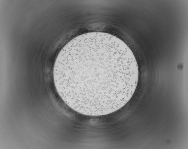 X0000113150641200910161221