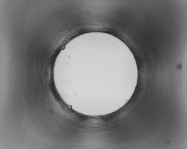 X0000113150642200910161221