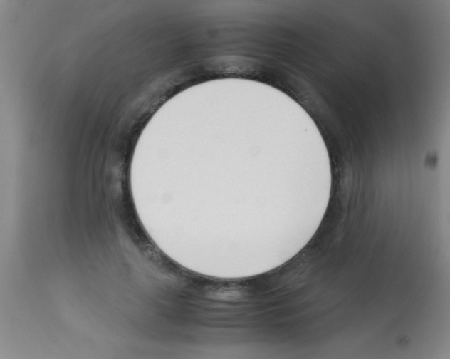 X0000113150643200910161221