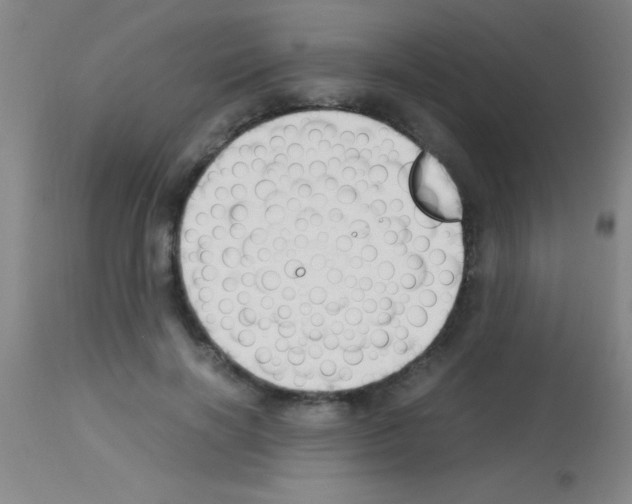 X0000113150646200910161221