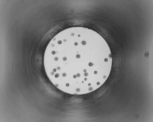 X0000113150648200910161221