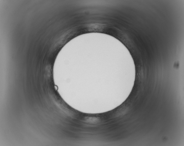 X0000113150649200910161221