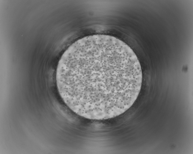 X0000113150650200910161221