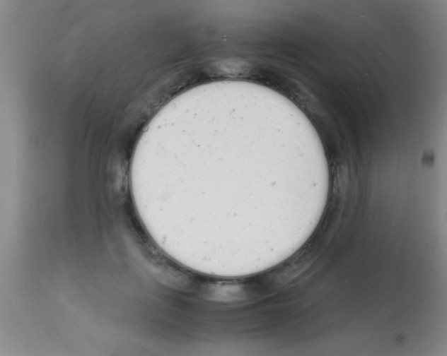 X0000113150651200910161221