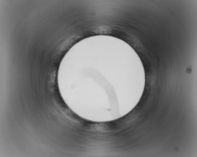 X0000113150652200910161221