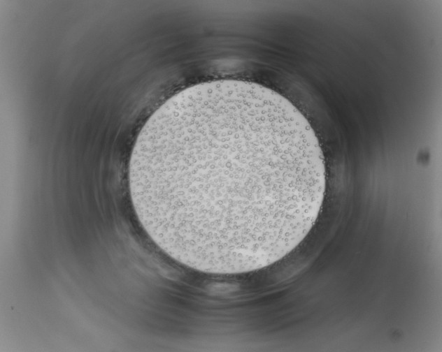 X0000113150653200910161221