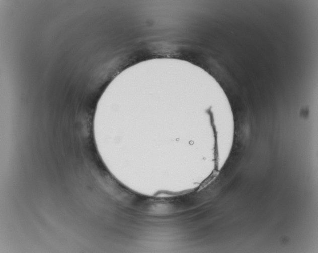 X0000113150658200910161221