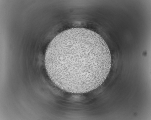 X0000113150659200910161221