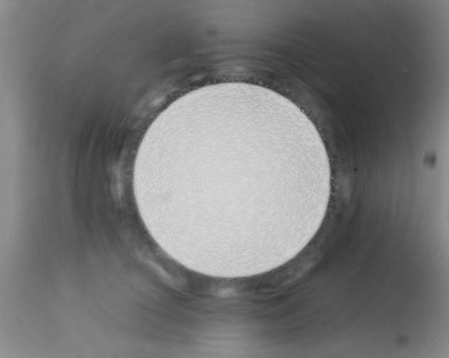 X0000113150660200910161221