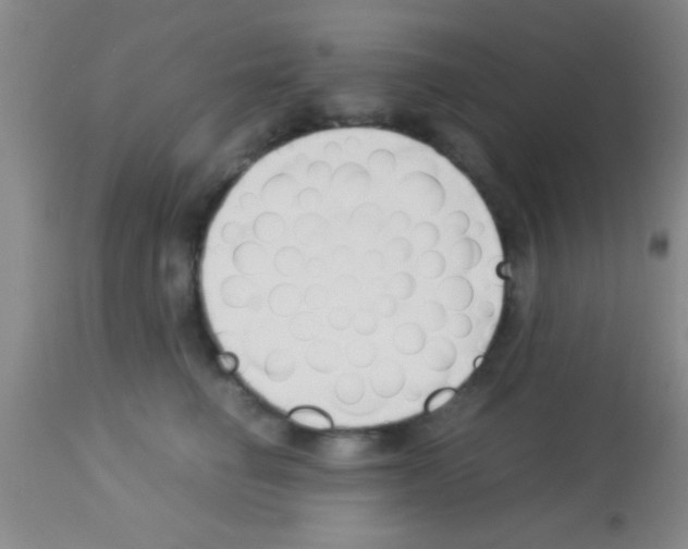 X0000113150662200910161222