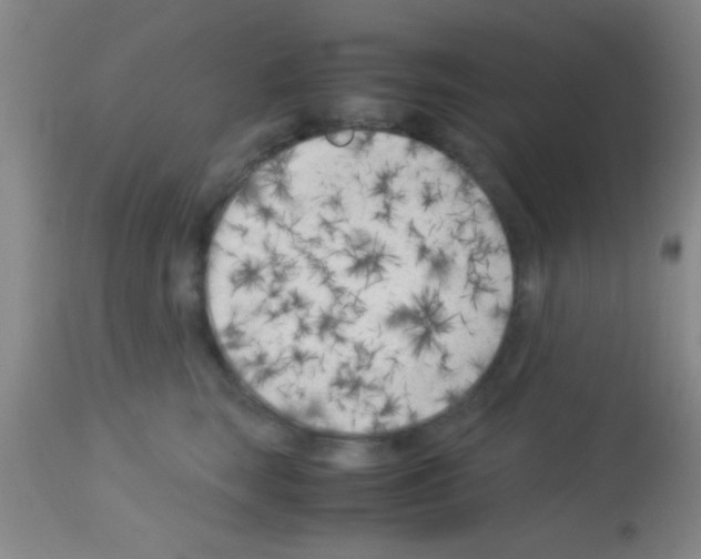 X0000113150663200910161222