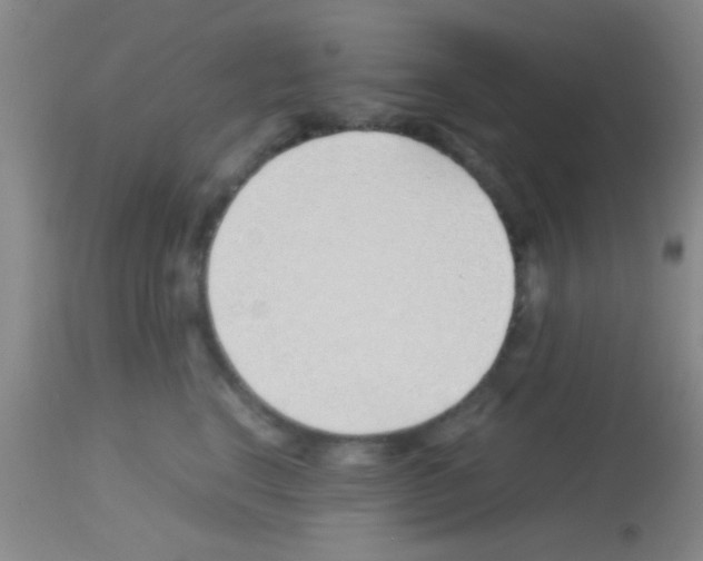 X0000113150664200910161222