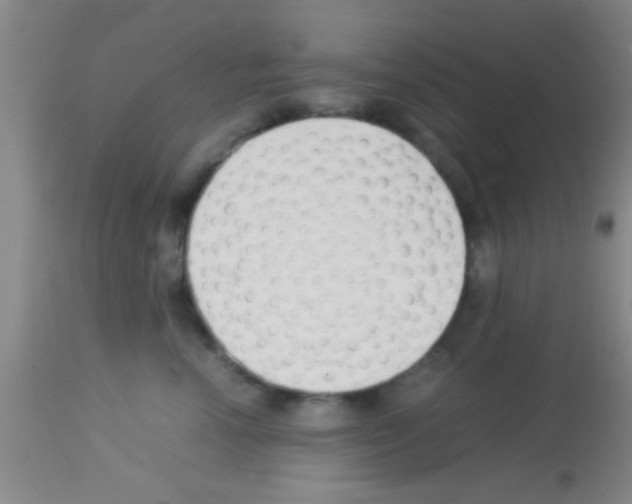 X0000113150666200910161222