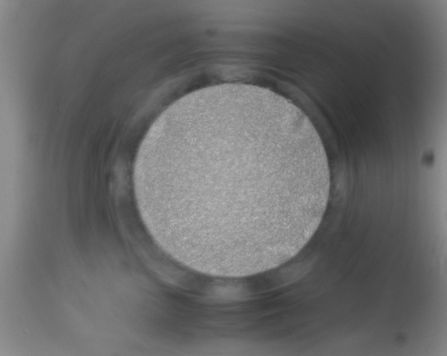 X0000113150667200910161222