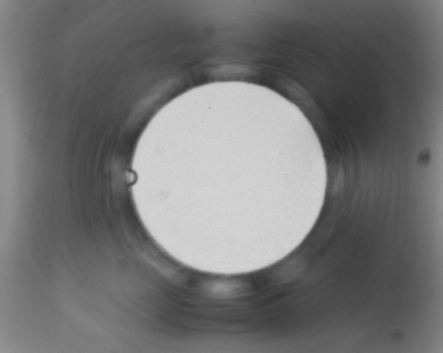 X0000113150669200910161222