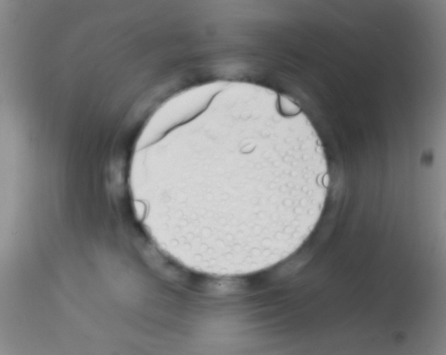 X0000113150670200910161222