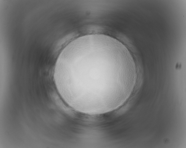 X0000113150672200910161222