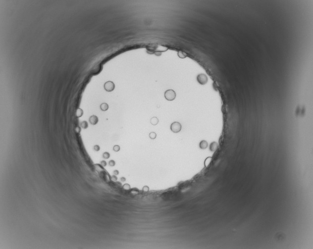 X0000113150673200910161221