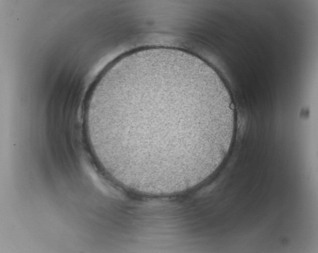 X0000113150674200910161221