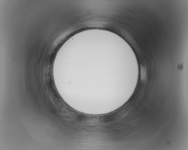 X0000113150675200910161221