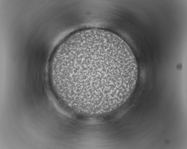 X0000113150678200910161221