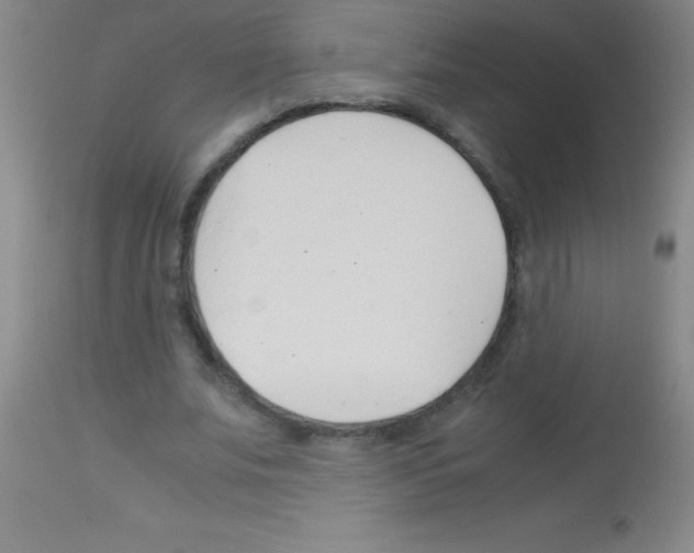 X0000113150679200910161221