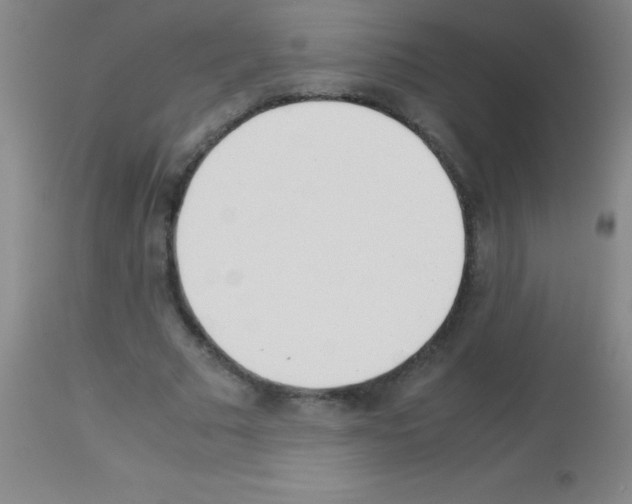 X0000113150681200910161221