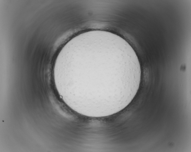 X0000113150682200910161221