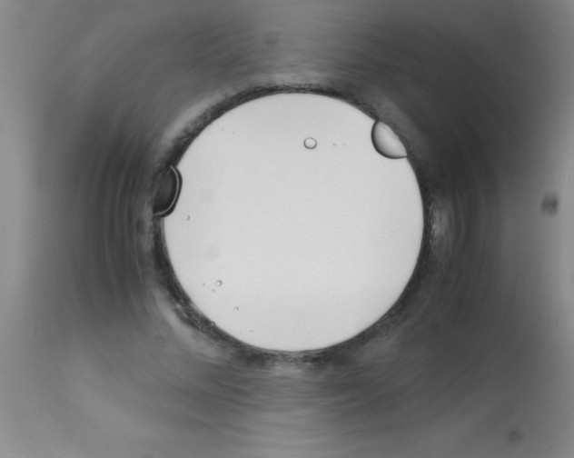 X0000113150684200910161221